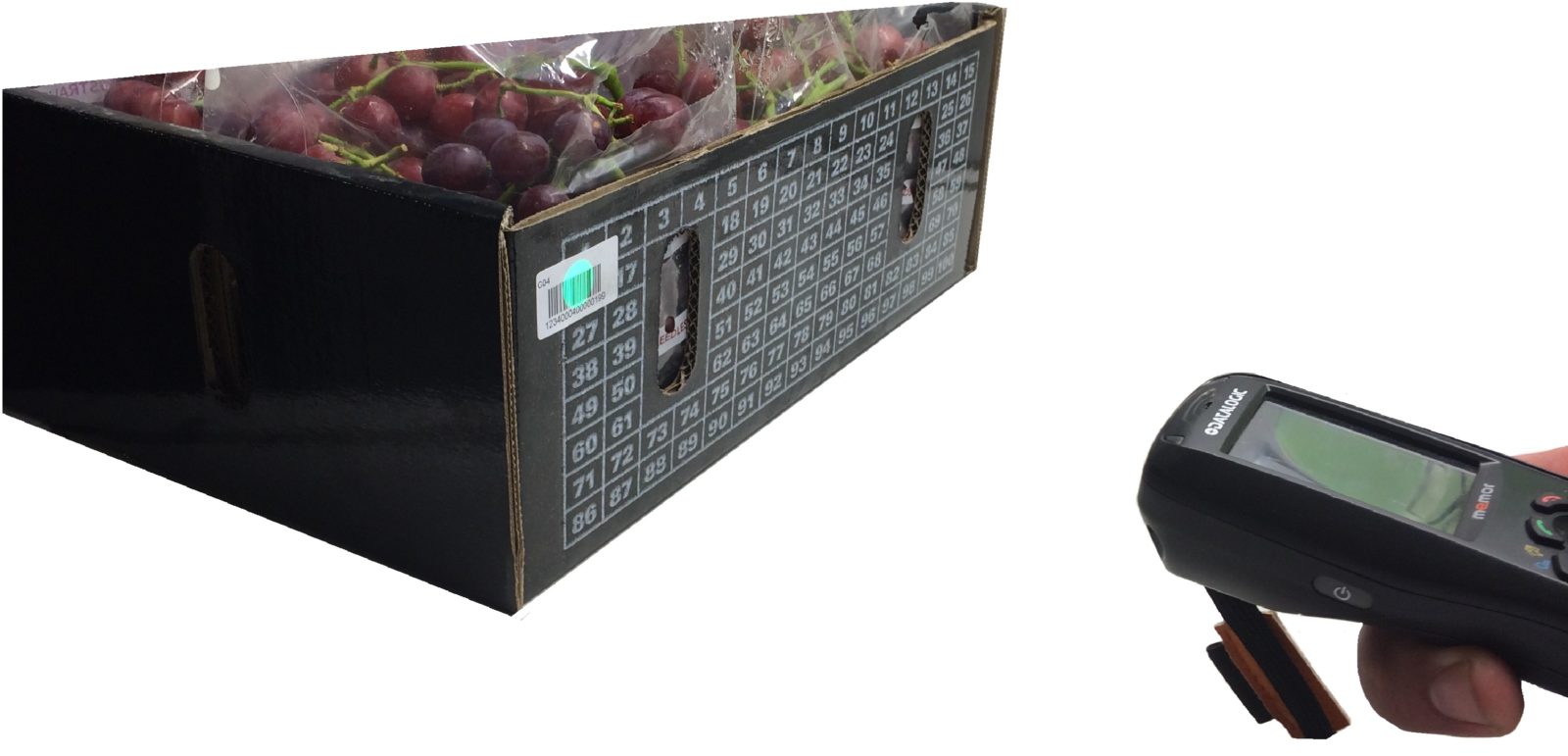 About Us Cavallo IT Services